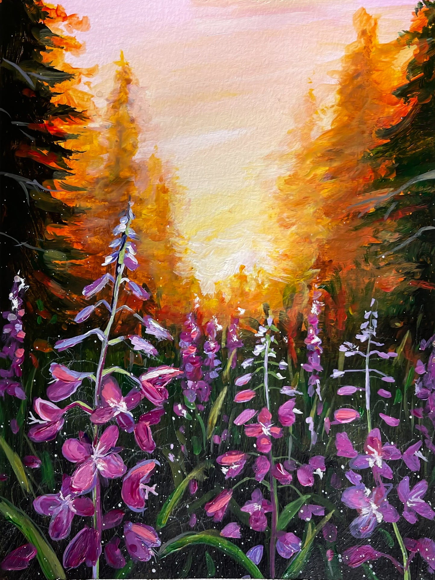Fireweed Sunset