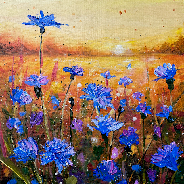 Golden Hour Cornflowers
