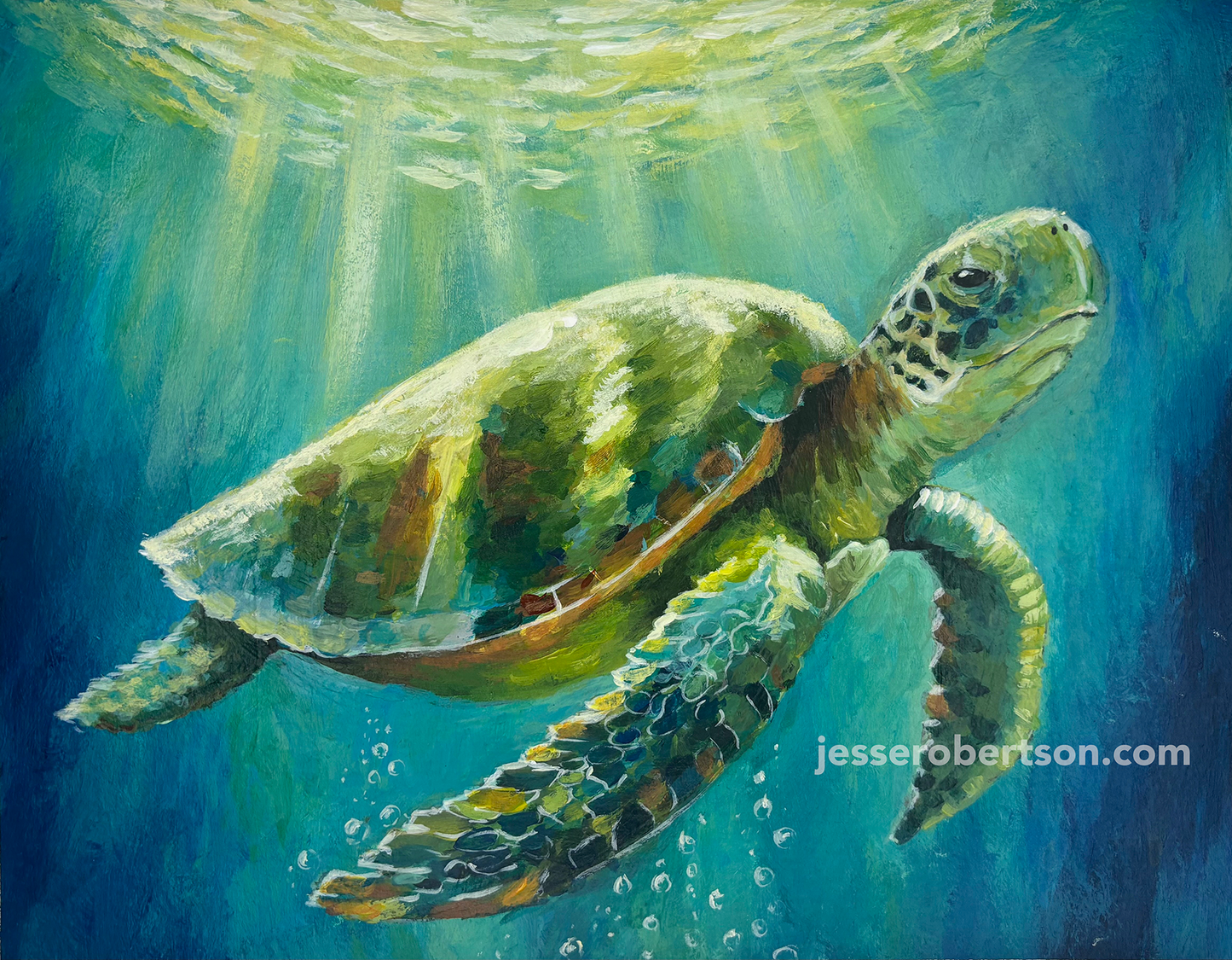 Sea Turtle