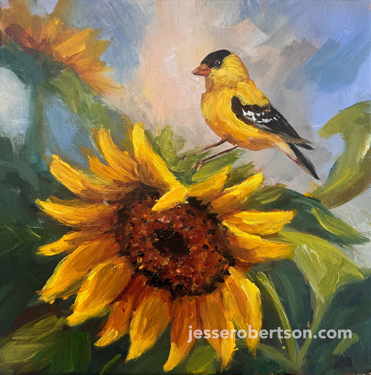 Sunflower Goldfinch