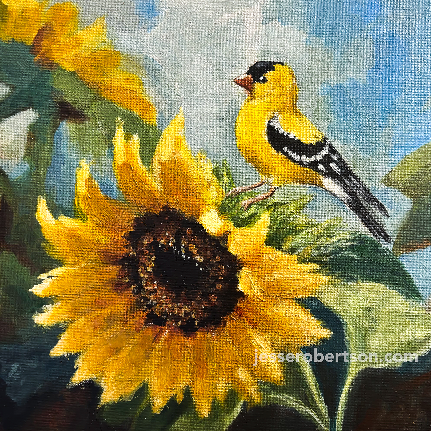 Sunflower Goldfinch