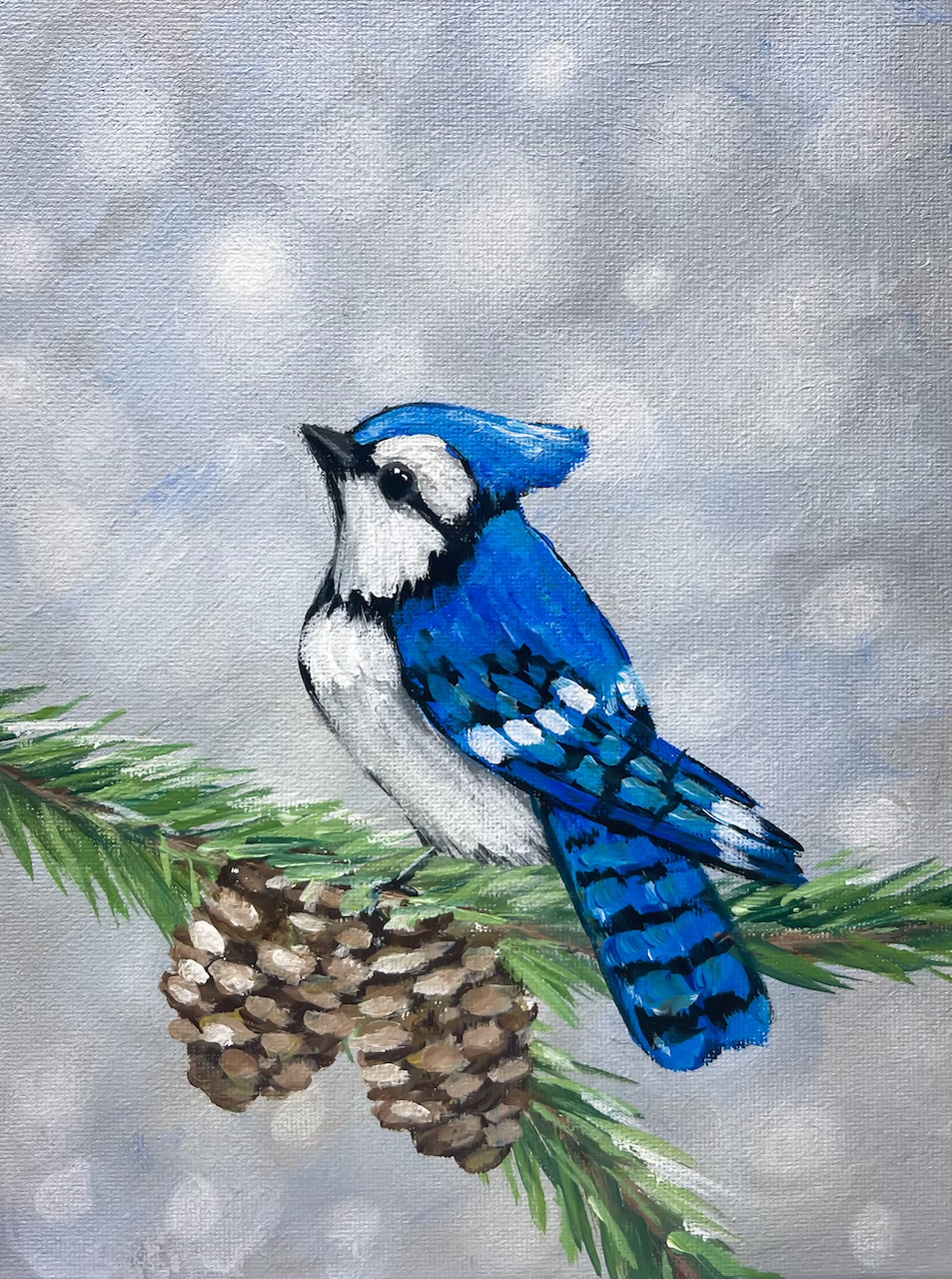 Snowy Blue Jay