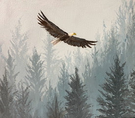 Alaskan Eagle