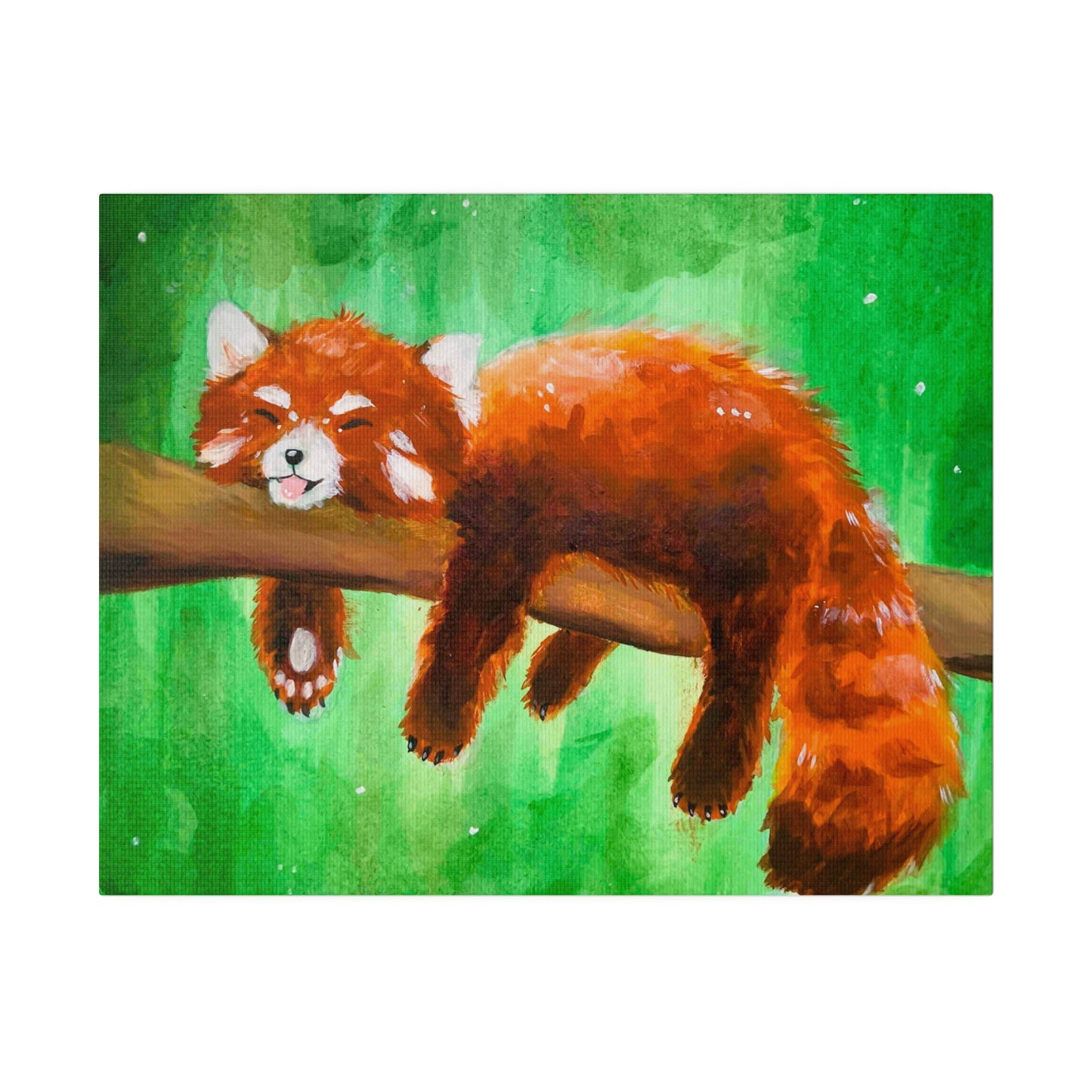 Red Panda | Matte Canvas, Stretched