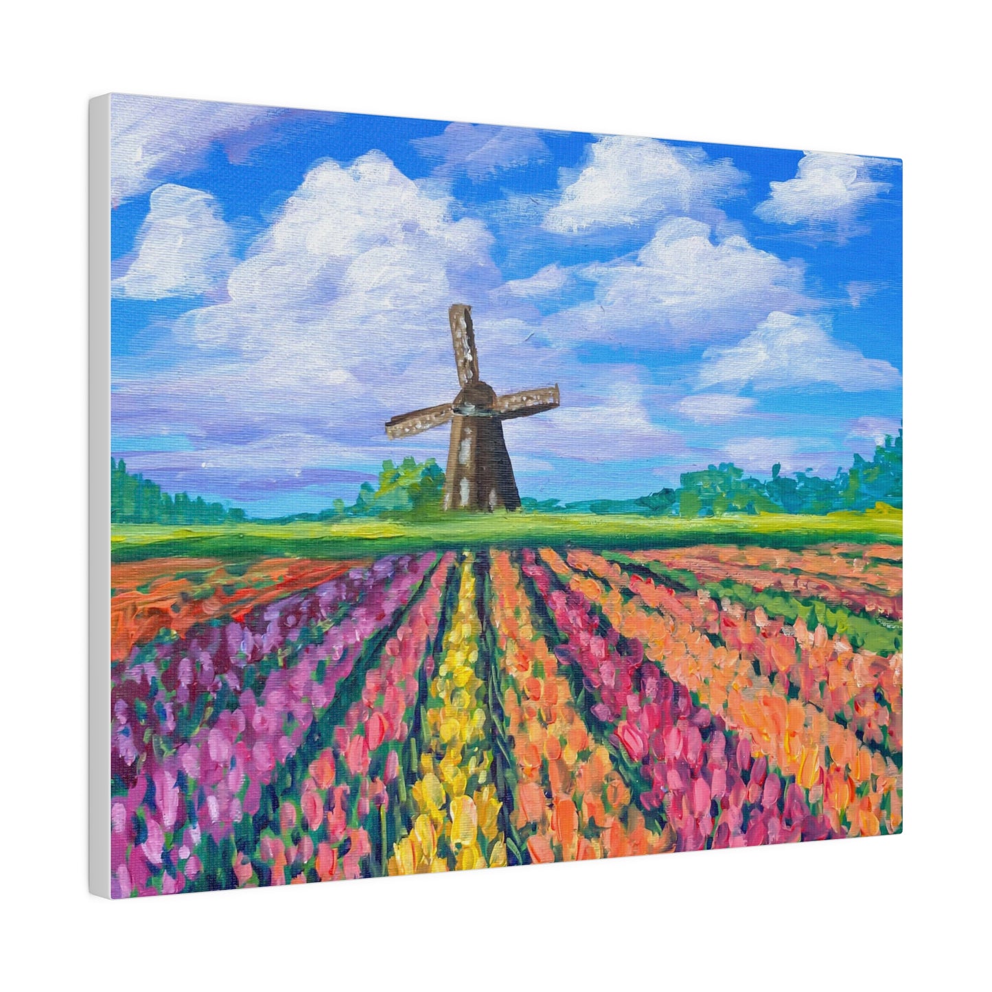 Netherlands Tulip Fields | Matte Canvas, Stretched