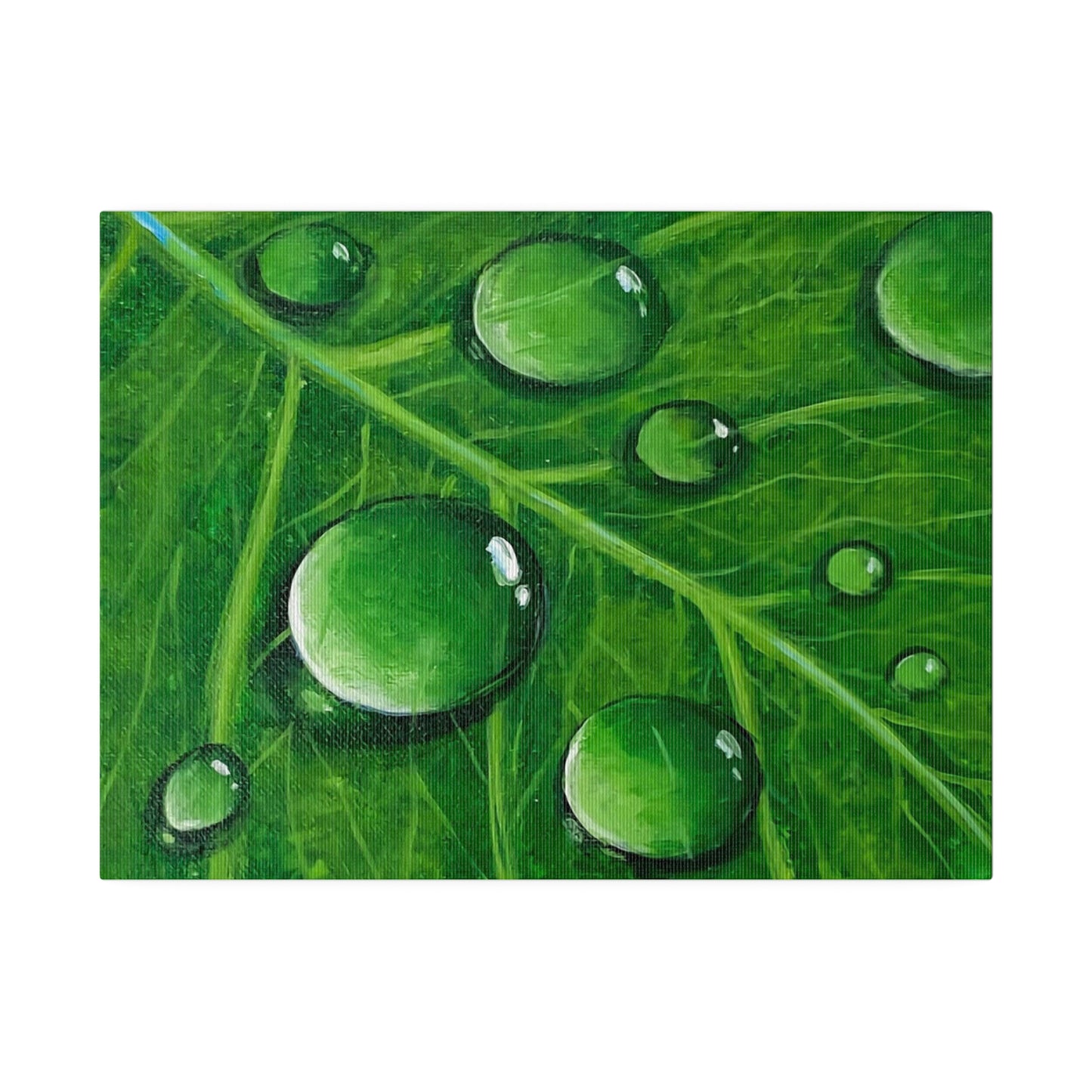 Water Droplets on Leaf | Matte Canvas, Stretched