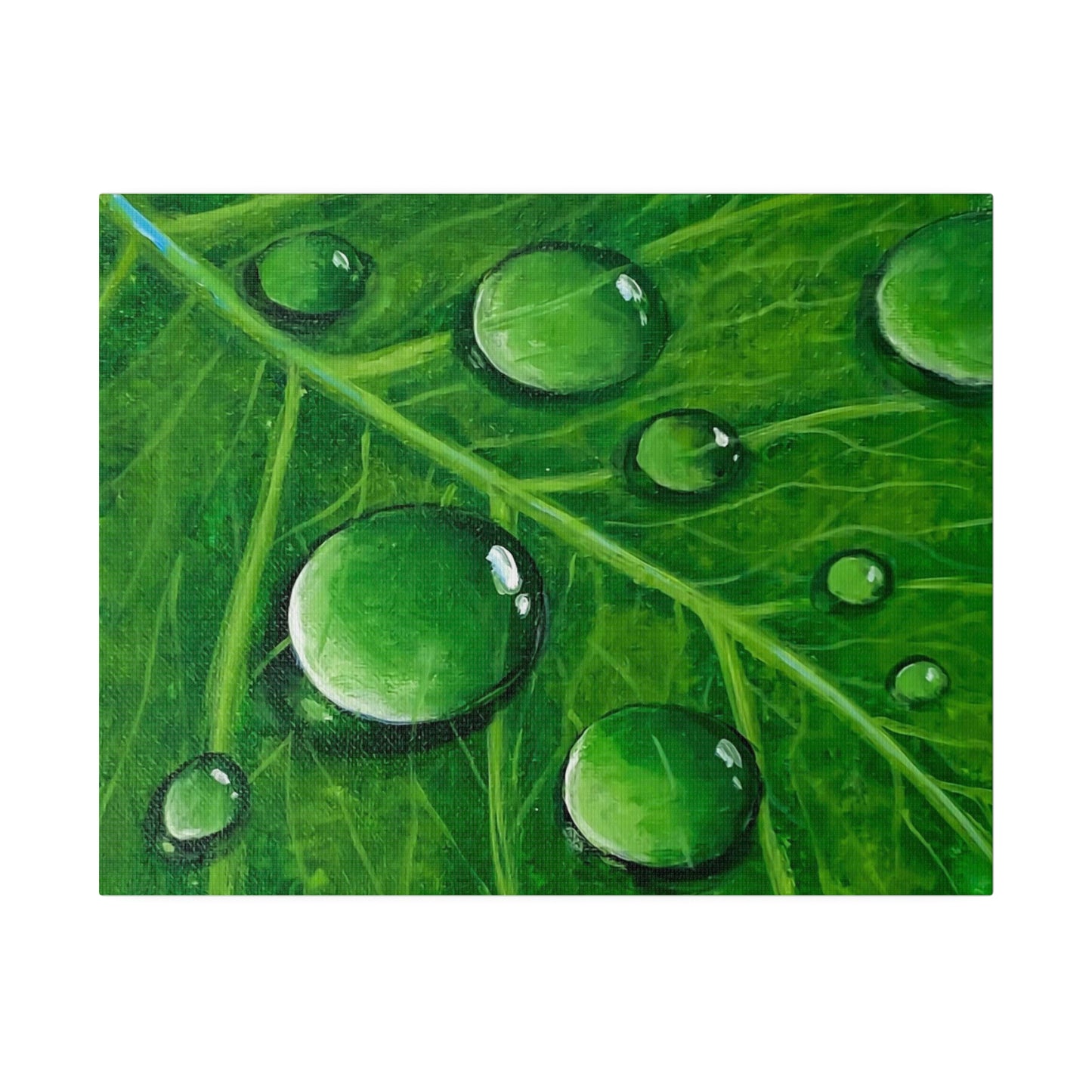 Water Droplets on Leaf | Matte Canvas, Stretched