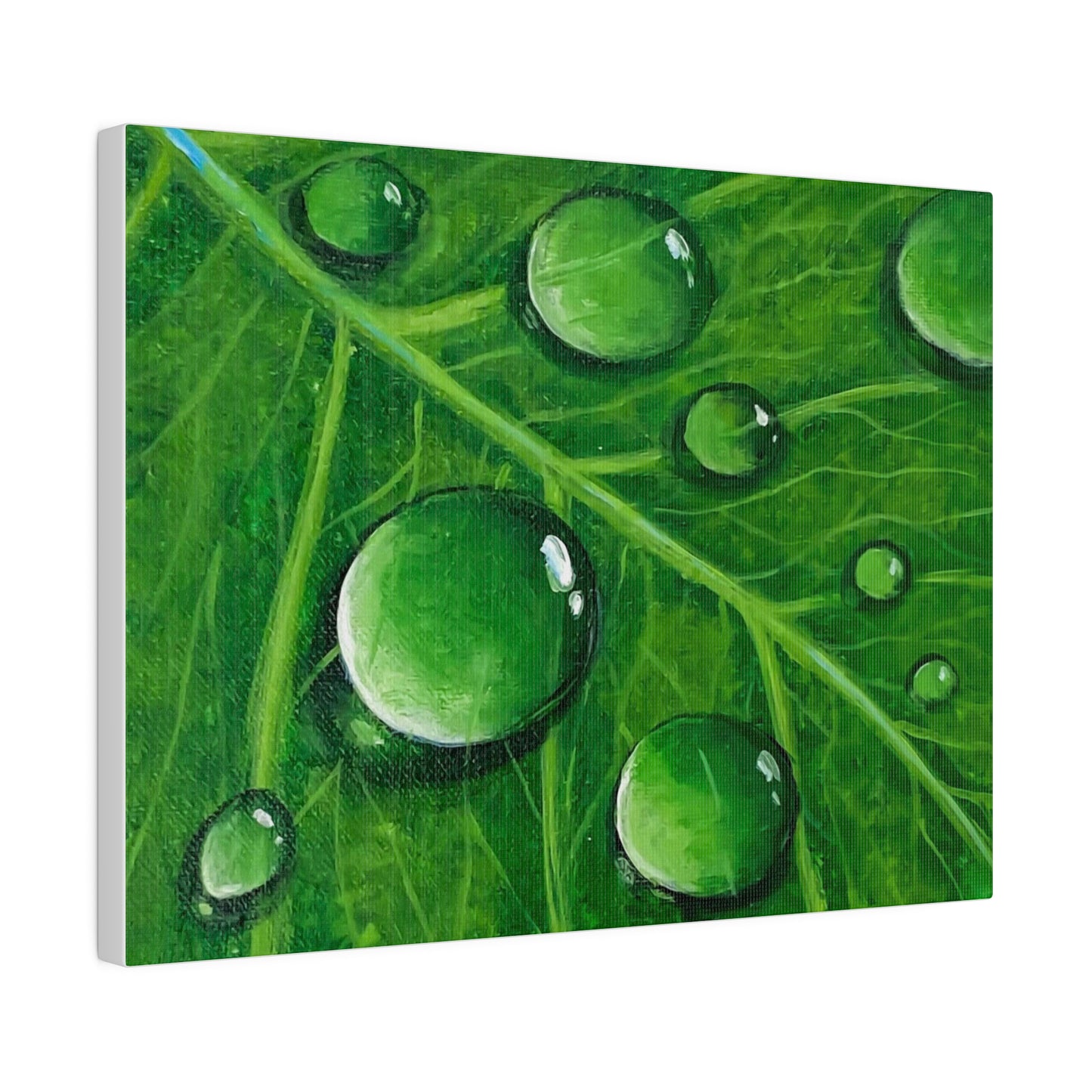 Water Droplets on Leaf | Matte Canvas, Stretched