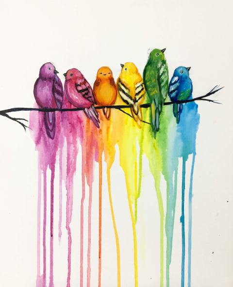 Rainbow Birds