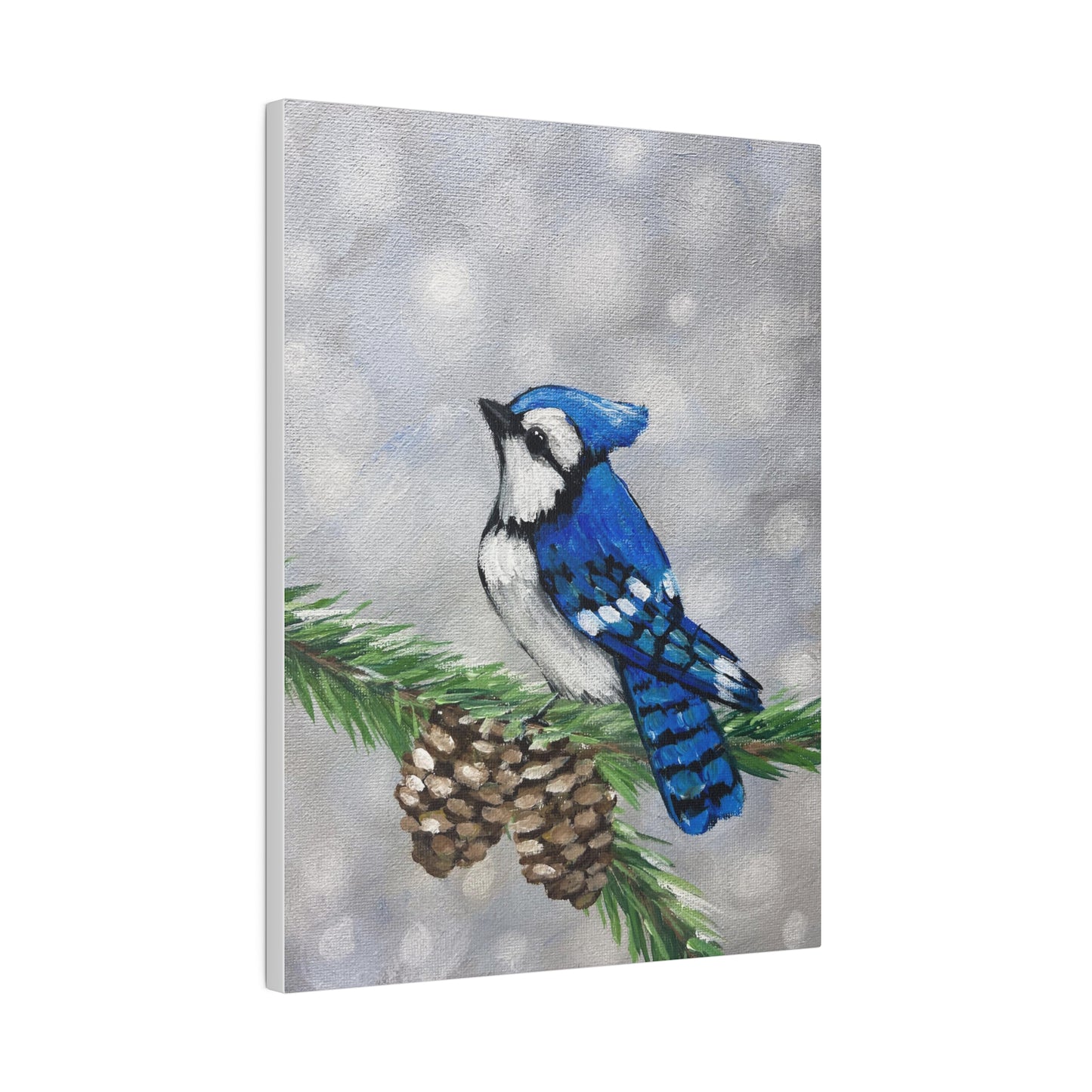 Snowy Blue Jay | Matte Canvas, Stretched