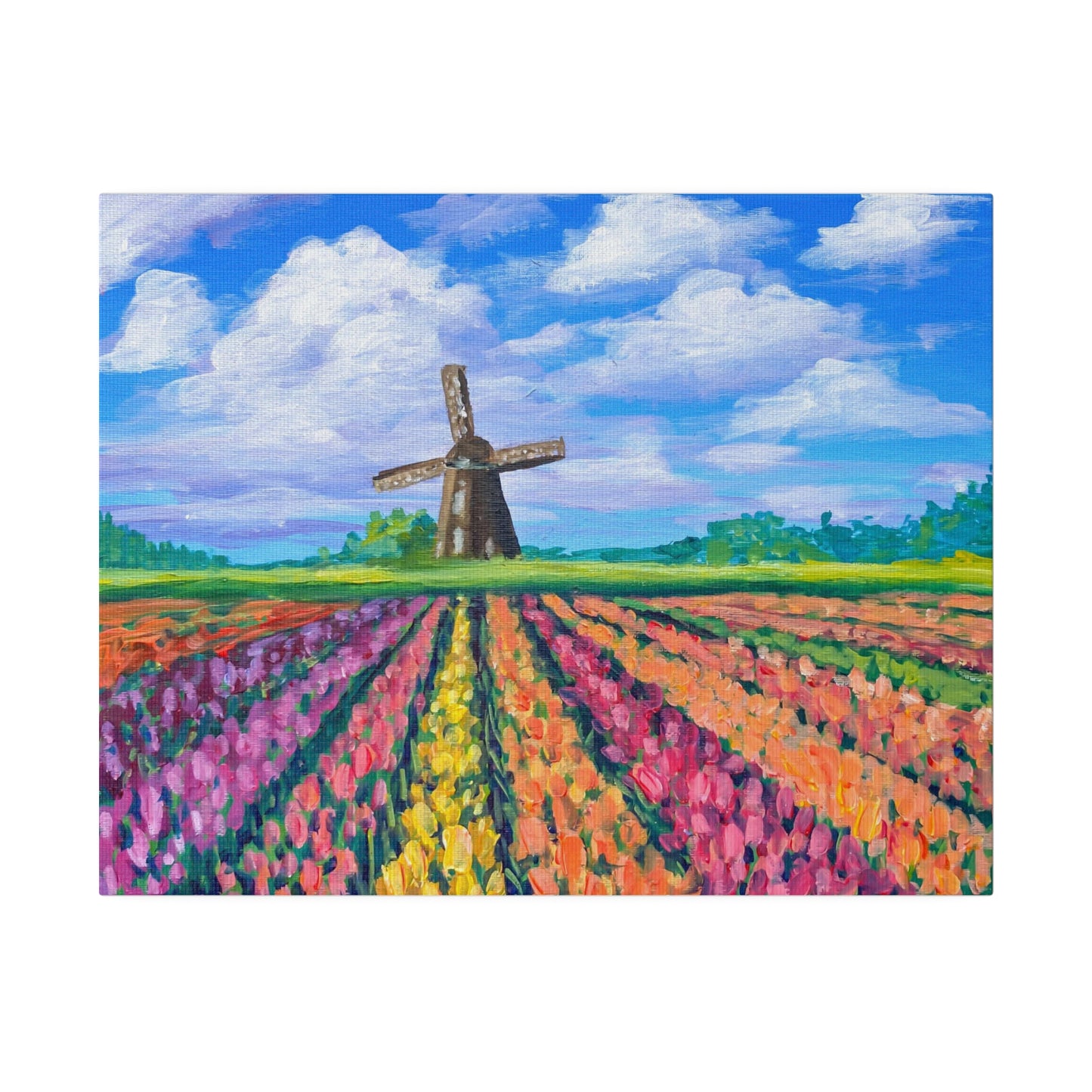 Netherlands Tulip Fields | Matte Canvas, Stretched