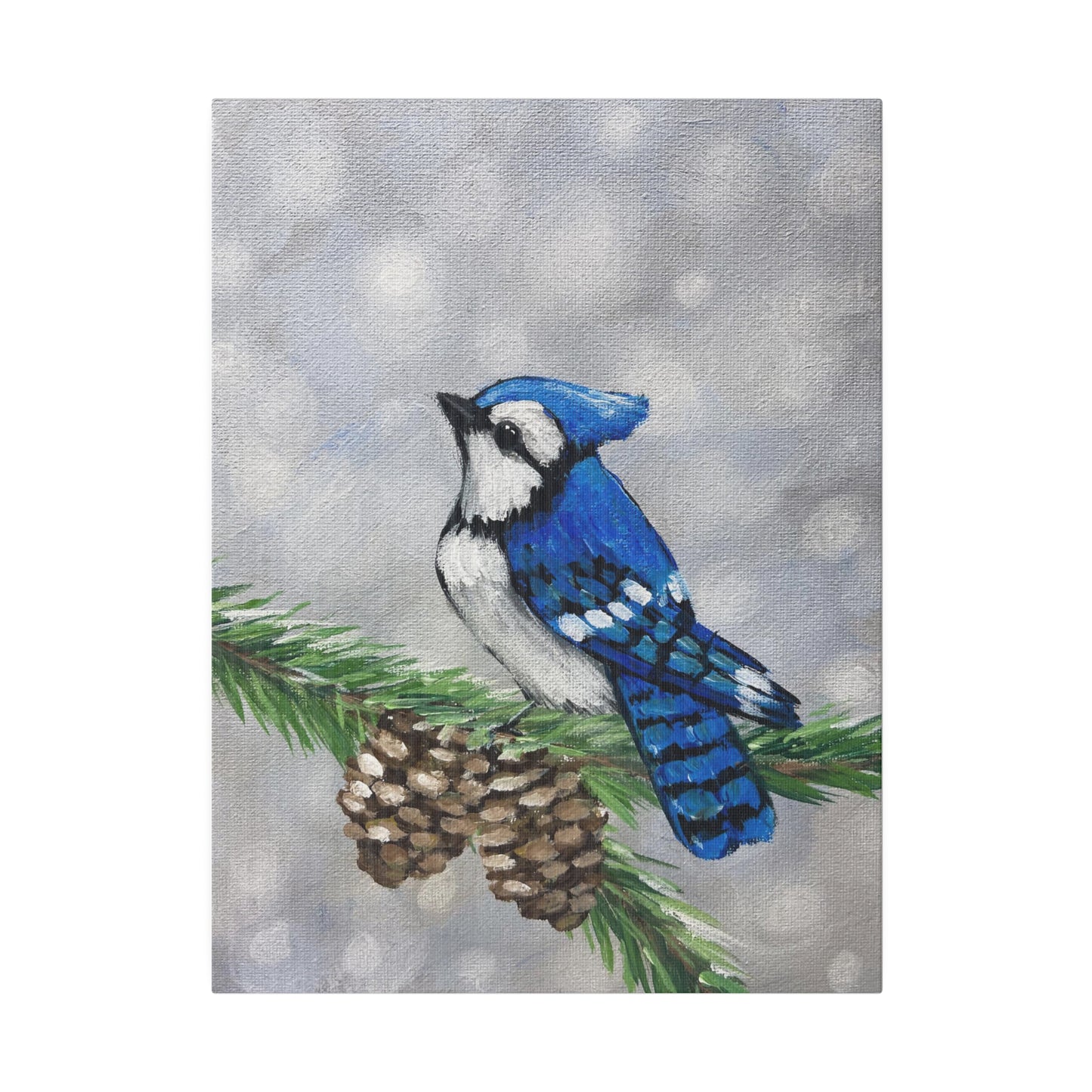 Snowy Blue Jay | Matte Canvas, Stretched