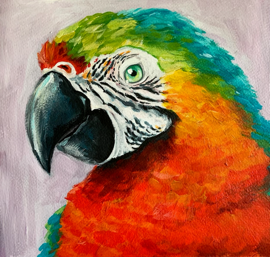 MacawSome