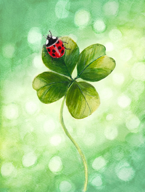 Lucky Ladybug - Watercolour