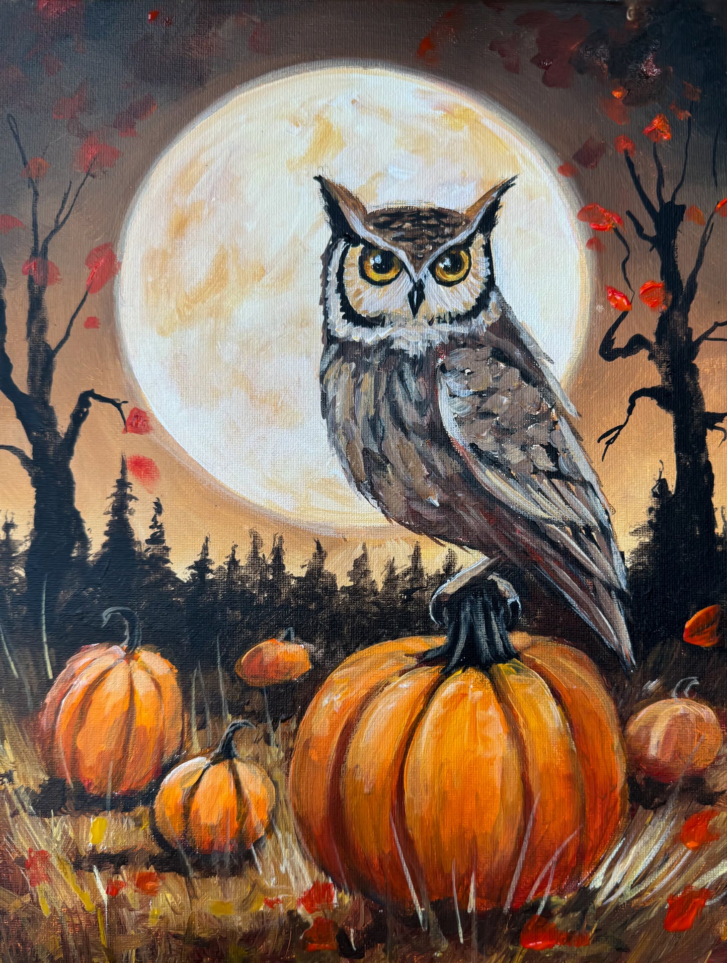 Harvest Moon Owl