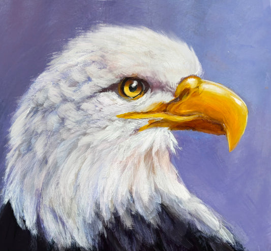 Bald Eagle