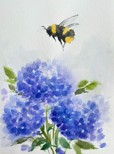 Bumblebee Hydrangea - Watercolour