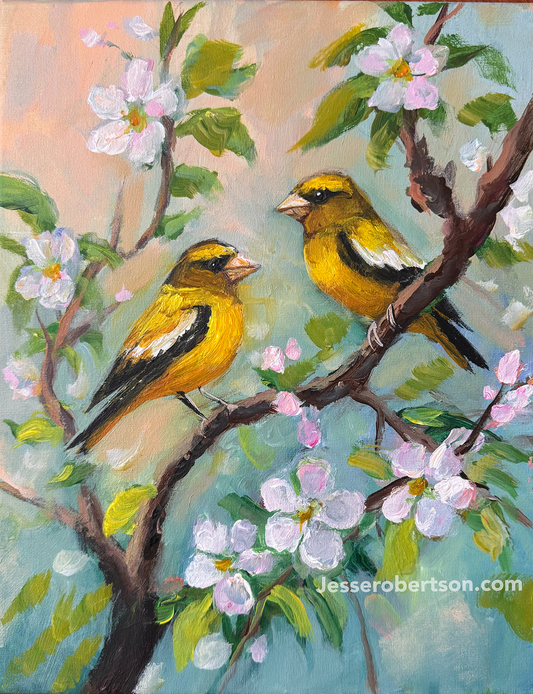 Grosbeaks n' Apple Blossoms
