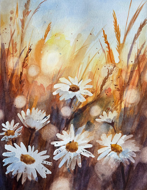 Sunset Daisy - Watercolour