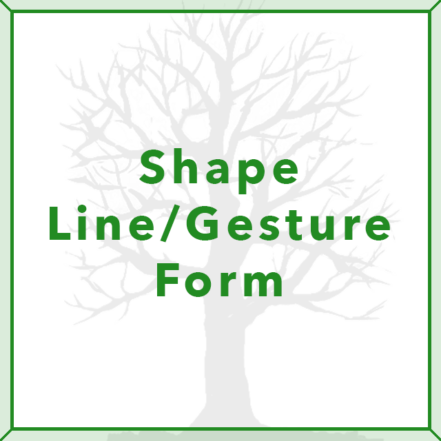 Tree Challenge - Shape, Line, Gesture, Form