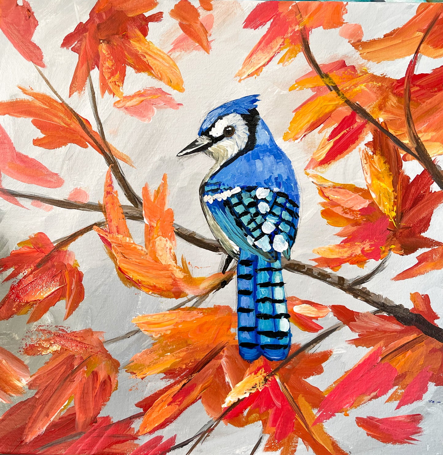 Fall Blue Jay