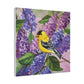 Goldfinch in the Lilacs | Matte Canvas, Stretched