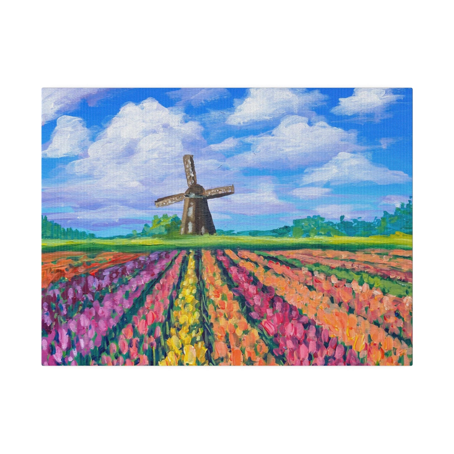 Netherlands Tulip Fields | Matte Canvas, Stretched