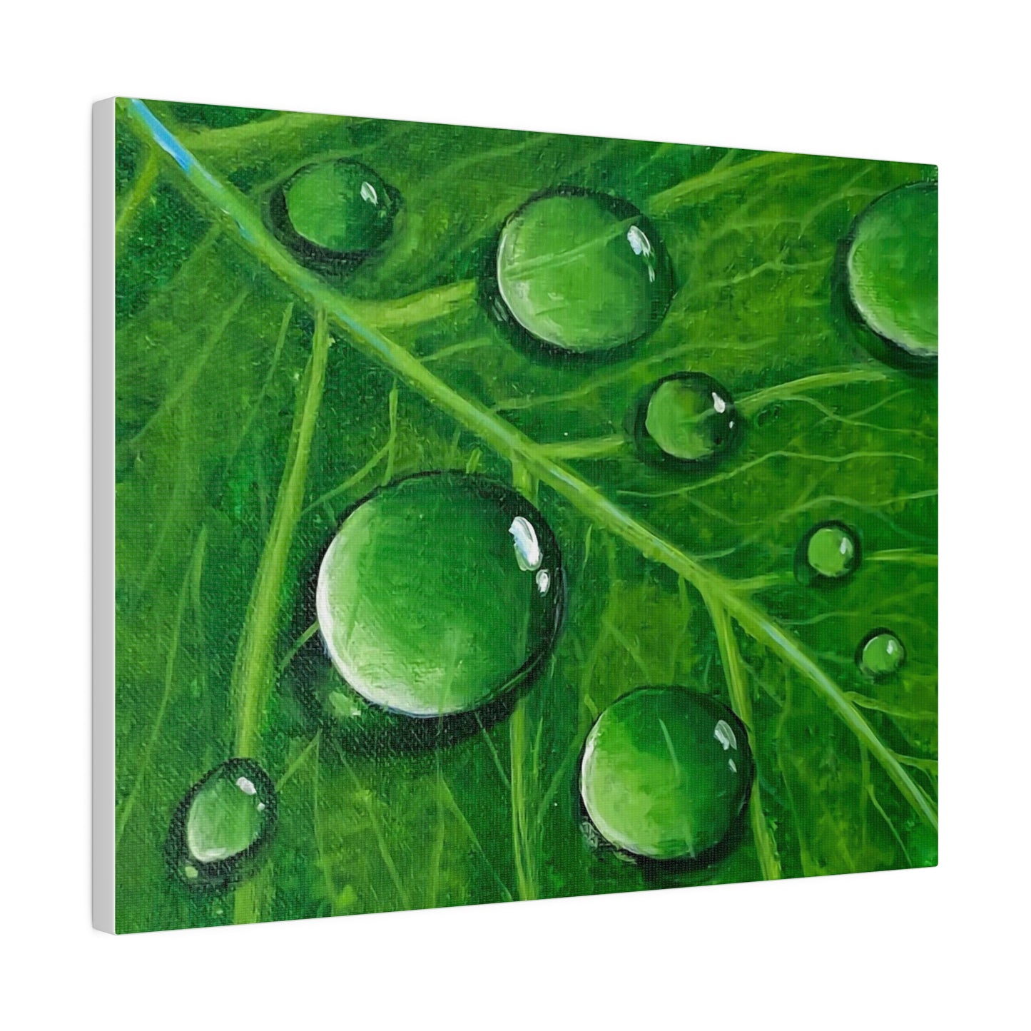 Water Droplets on Leaf | Matte Canvas, Stretched