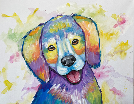 Colourful Dog