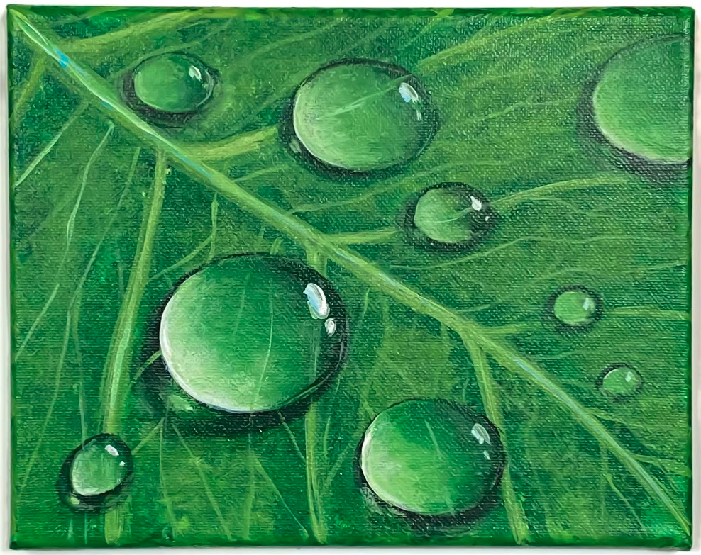 Water Drops on a Leaf